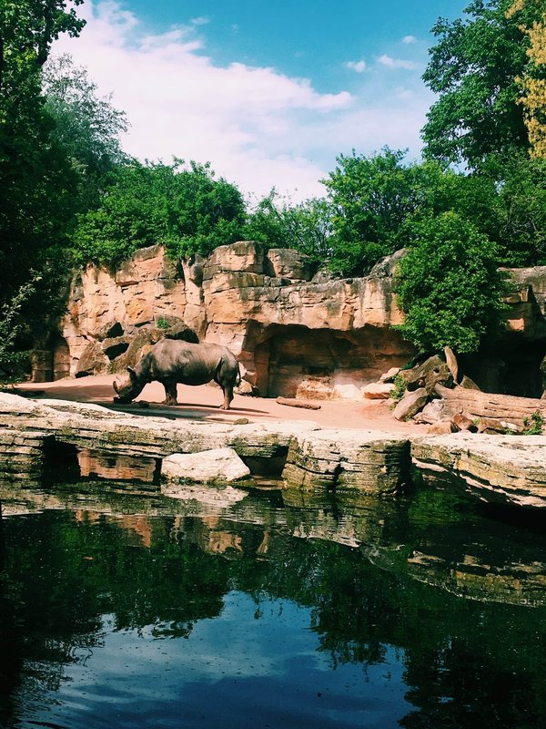 Les parcs animaliers et zoos du monde à explorer